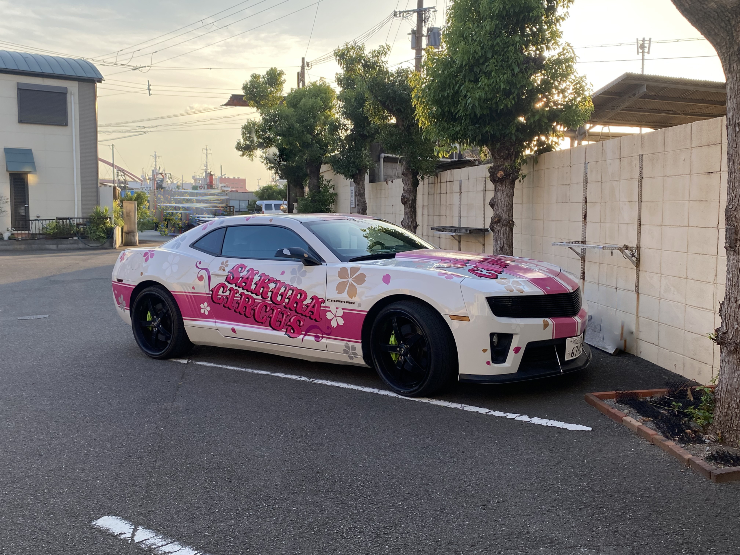 さくら　エアロペガサス　コメント欄必ずご覧ください。 artwork-600x315.jpg